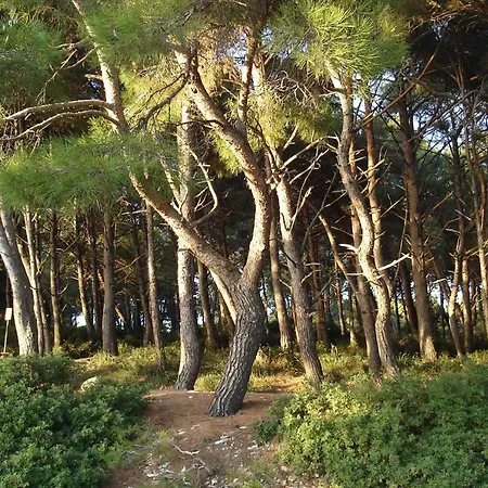 Holiday Home In Pula/Istrien 11083 Veruda